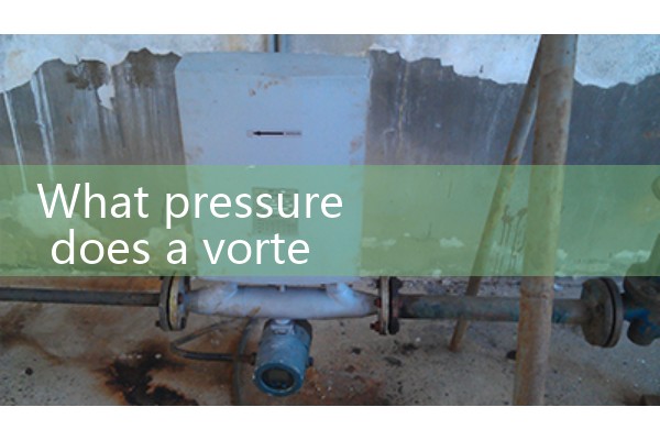 Vortex inflow flowmeter